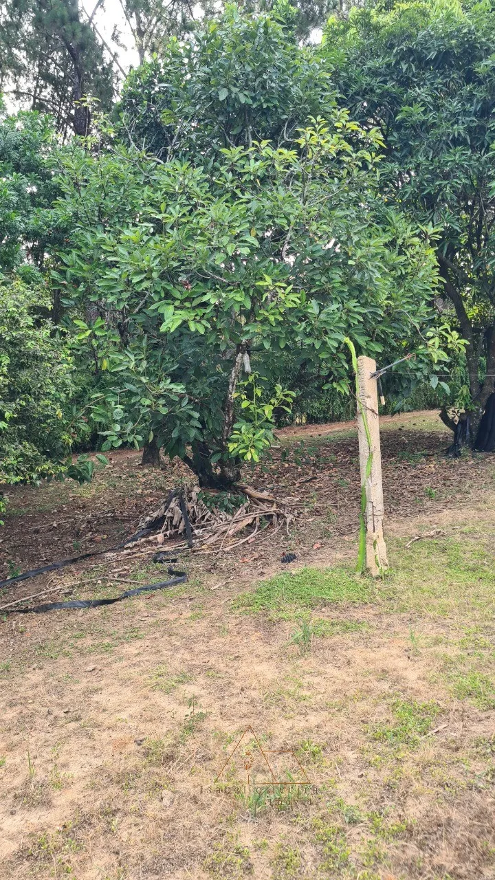 Imagem Chacara à venda em Cesário Lange-SP, bairro Guarapó, com 5.287,00 m² de área: sua oportunidade de investimento!