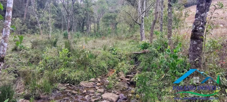 Imagem Oportunidade Única na Serra da Mantiqueira! Pedra do Jair.