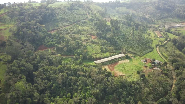 Imagem Área Agrícola para Venda em Arabuta, Rural