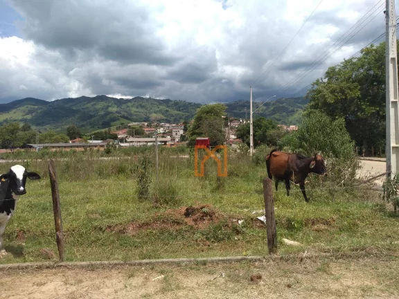 Imagem Terreno à venda, 250 m² por R$ 80.000,00 - Centro - Piranguçu/MG