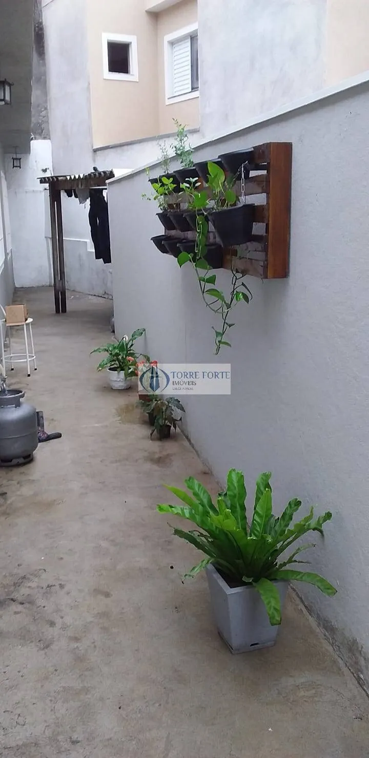Imagem Terreno com casa pequeno na Vila Formosa