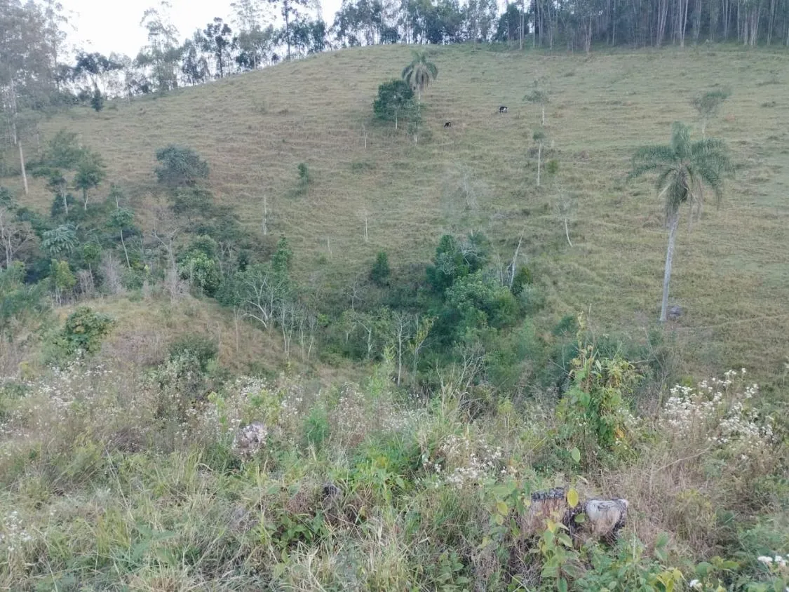 Imagem 4 Alqueires à Venda em Piracaia ? Ótima Localização!