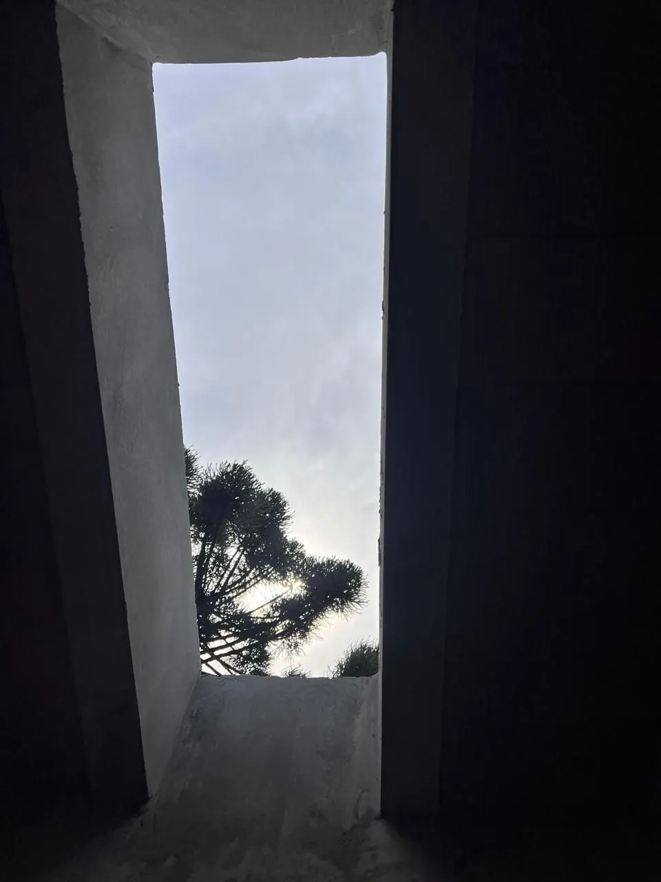 Imagem Casa de condomínio à venda em Canela, SANTA TEREZINHA, com 3 quartos, 258.71m2