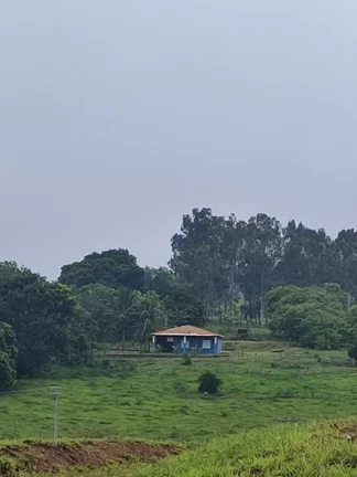 Imagem Sítio de alqueires 1.2 na Prata em Aracatuba tem opção de 4. 5 e de 2.4 alq