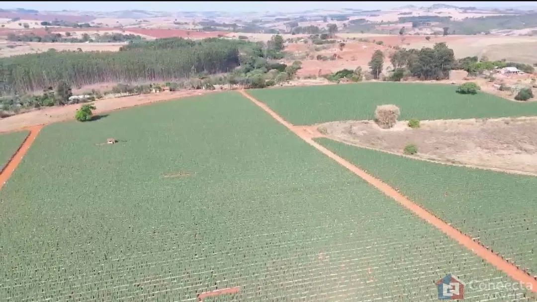 Imagem Fazenda à venda, 460000 m² por R$ 9.000.000,00 - Área Rural de Patos de Minas - Patos de Minas/MG