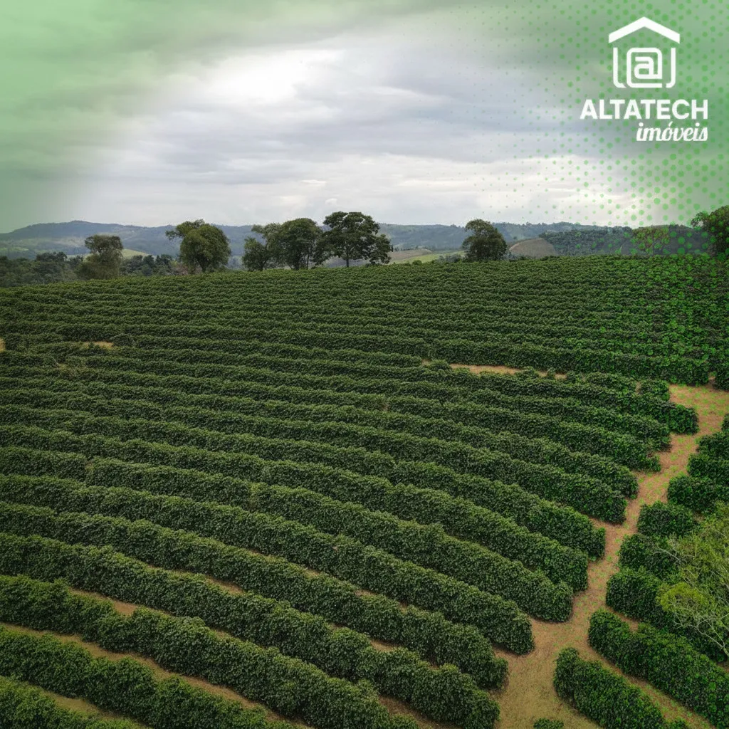 Imagem Fazenda 0 ha à venda em Roseira, Bandeira do Sul