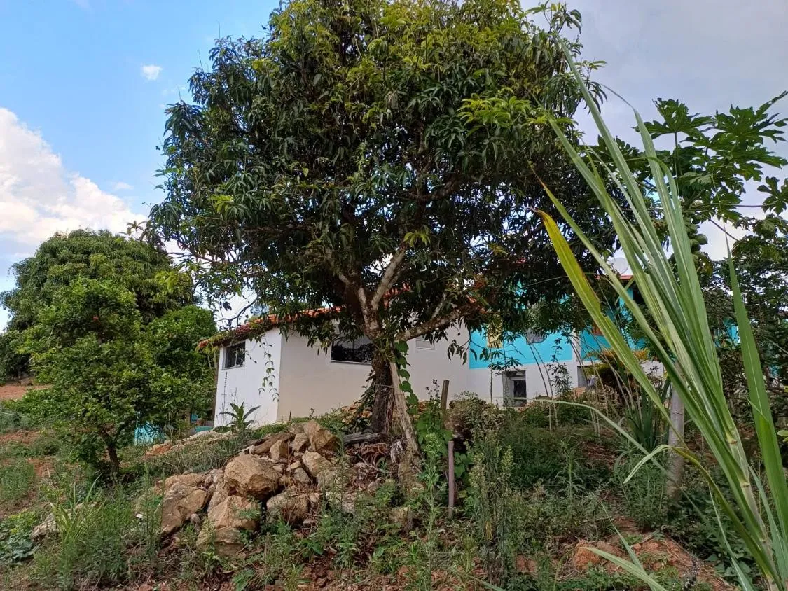 Imagem Vendo uma ótima chácara em Piedade dos gerais , medindo 5.740 m² de extensão.
