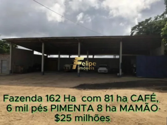 Imagem FAZENDA DE ALTO PADRÃO EM EUNÁPOLIS/BA 162 HECTARES DOCUMENTADOS 81 há de CAFÉ.