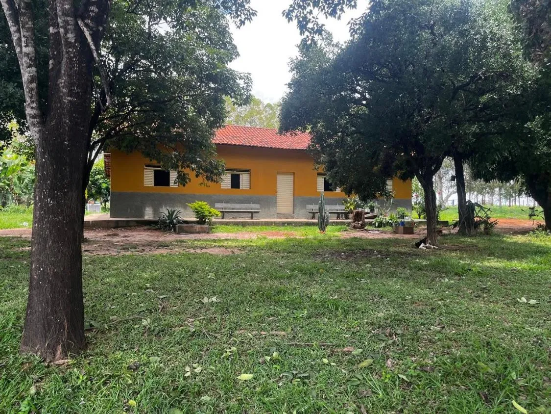 Imagem FAZENDA À VENDA ? PORTEIRA FECHADA / BUENÓPOLIS/MG área total de 223 hectares