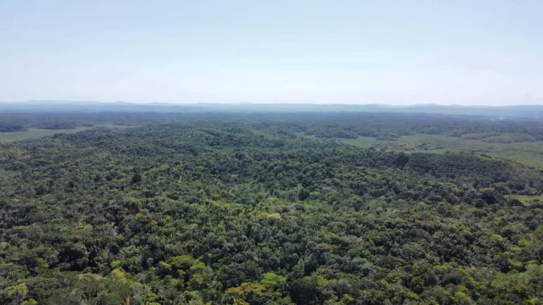 Imagem Barra de Sirinhaem