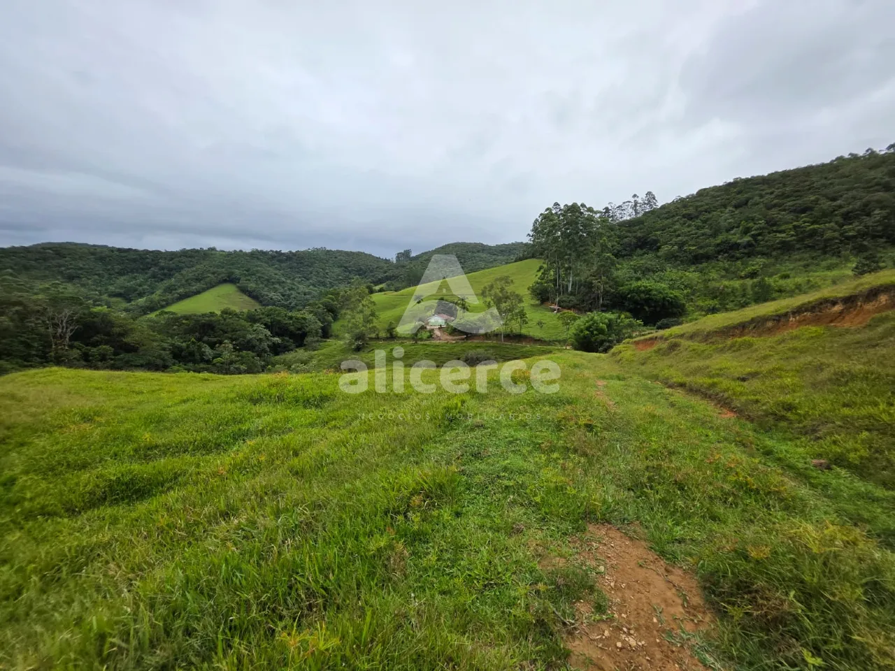 Sítio à venda em Antônio Carlos, SC, na Zona Rural - Morro da Gloria. em zona rural, s;n - Zona rural, Antônio Carlos - SC