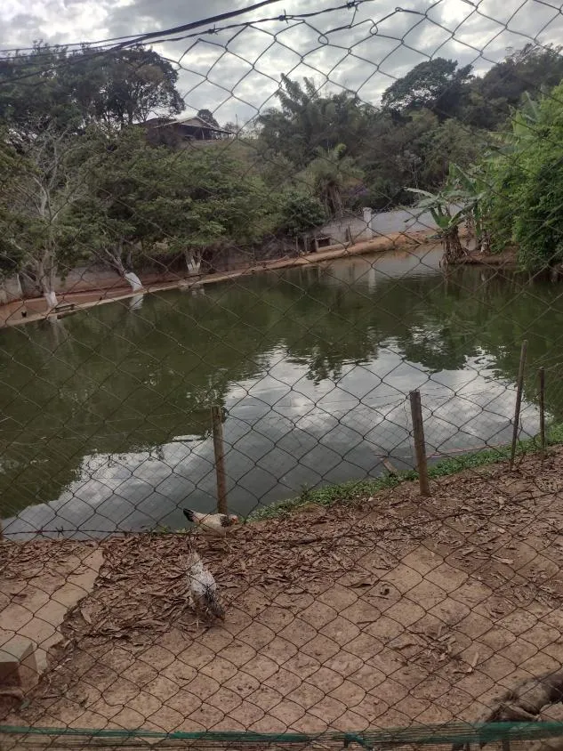 Imagem Vendo Excelente Sítio em São Joaquim de Bicas /com 5.600 m² de area