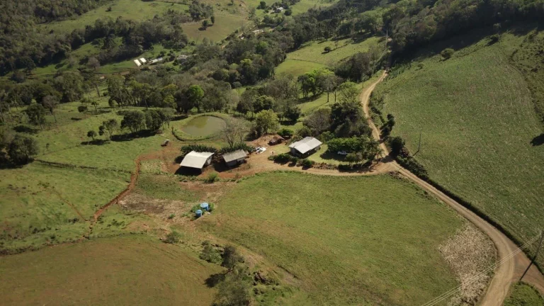 Imagem Área Agrícola para Venda em Concórdia, Rural