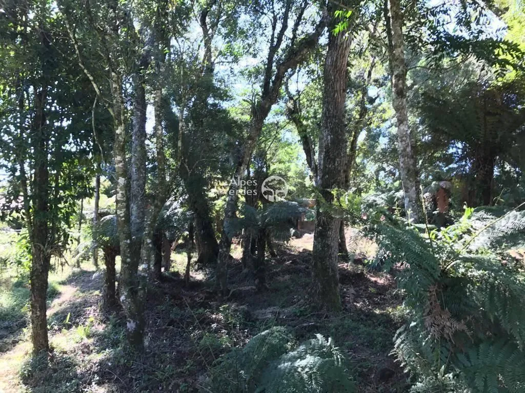 Imagem Vende-se Terreno em Canela a cerca de 3 minutos da Catedral de Pedra