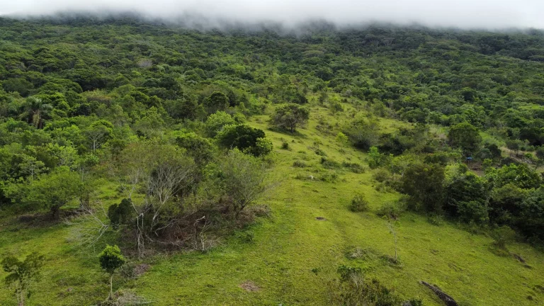 Imagem Terreno à Venda com Vista para o Mar e Lagoa do Macacu - 9,3 Hectares em Garopaba-SC!