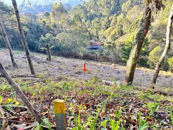 Imagem Lote Exclusivo com Vista Panorâmica