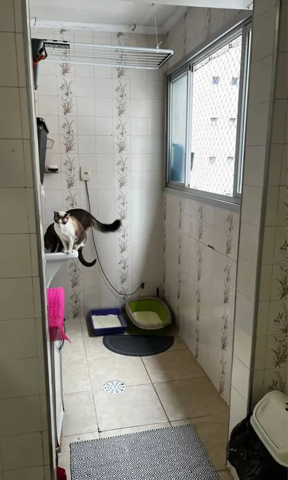 Imagem Apartamento com 2 Quartos à Venda, 90 m² em Guilhermina - Praia Grande