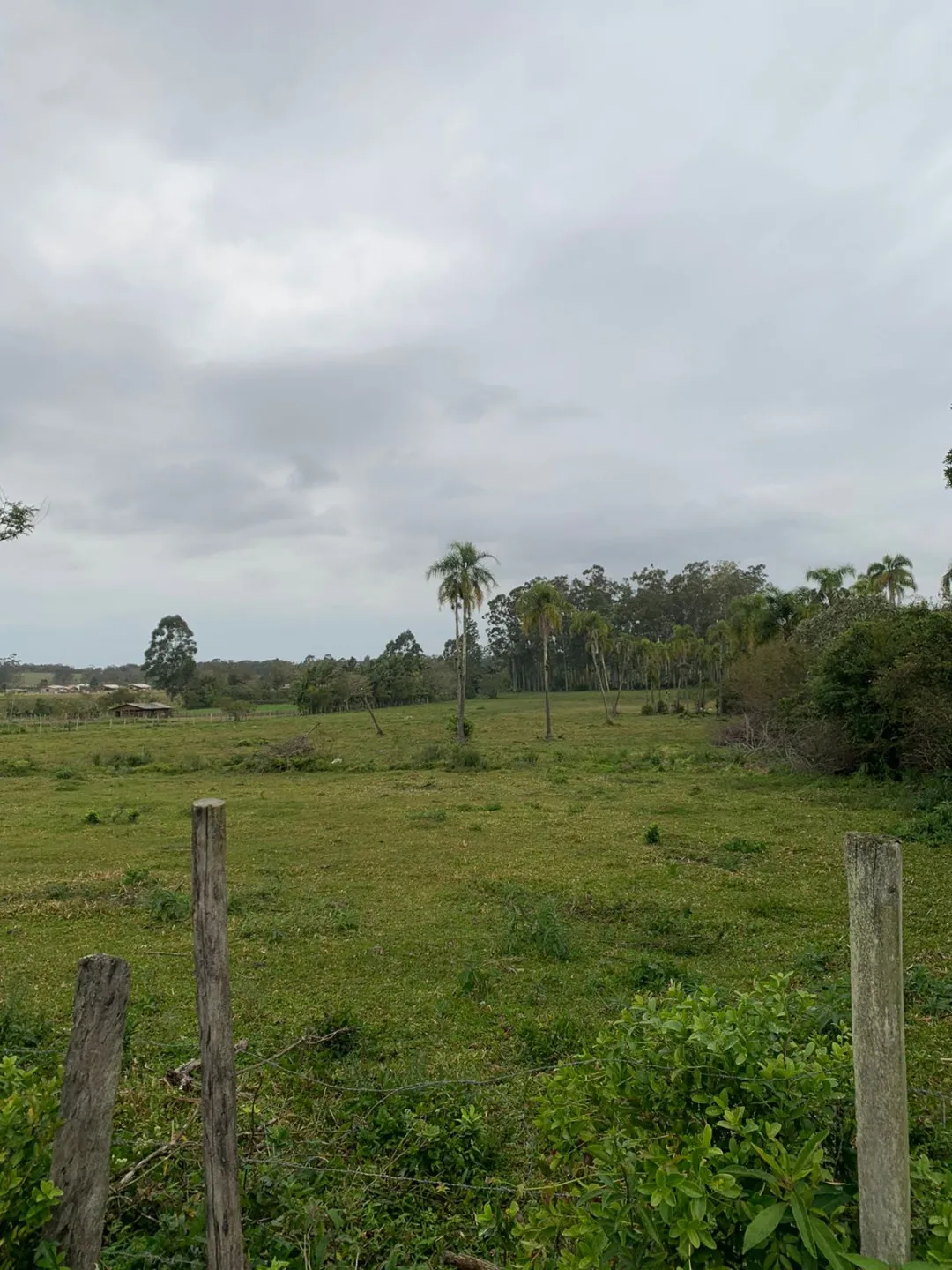 Imagem Lote à venda em Torres, Centro, 1700m2