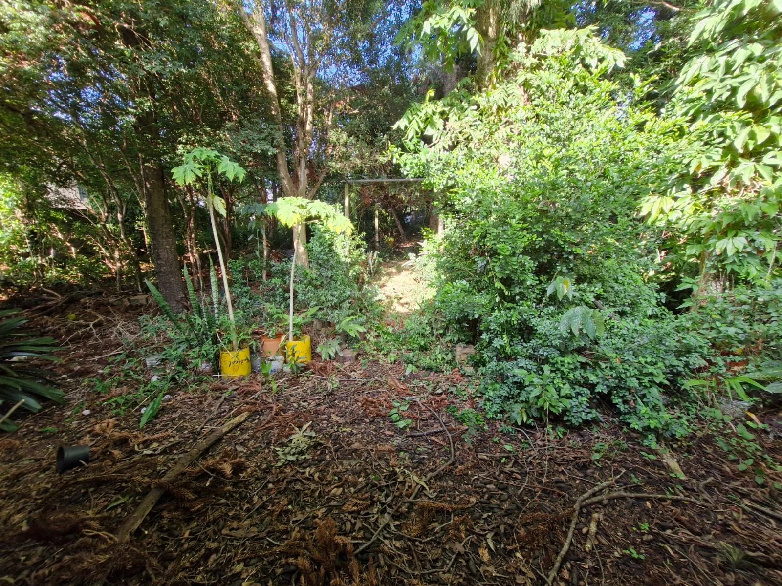 Imagem Terreno em Teresópolis