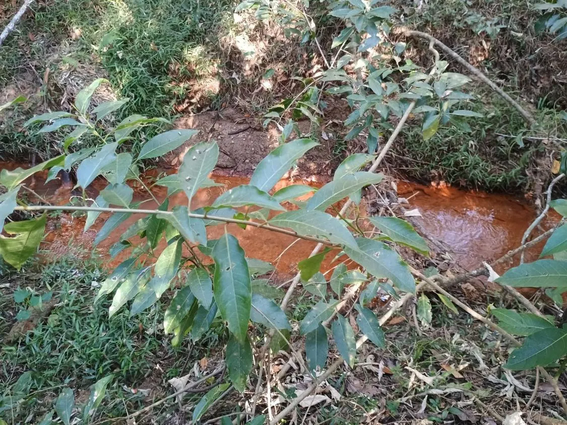Imagem Excelente Terreno à Venda em Oliveira/MG: 34 Hectares com Boa Disponibilidade de Água