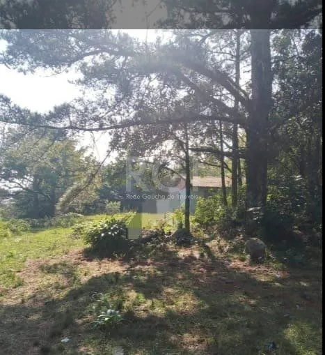 Imagem terreno - 180 m² - Lomba do Pinheiro