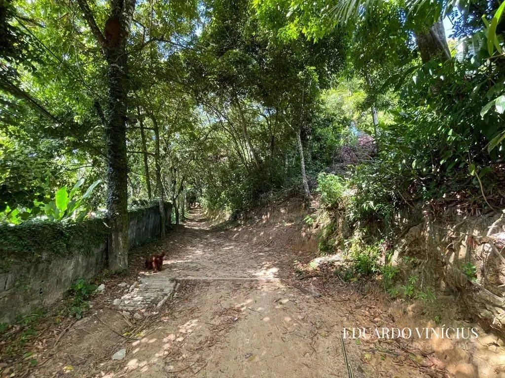Imagem Jardim Botânico - Terreno com 1.874m² À Venda no Jardim Botânico em Morro de São Paulo