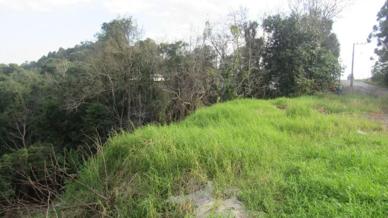 Imagem Casa para Venda em Concórdia, Santo Antônio, 2 dormitórios, 1 banheiro