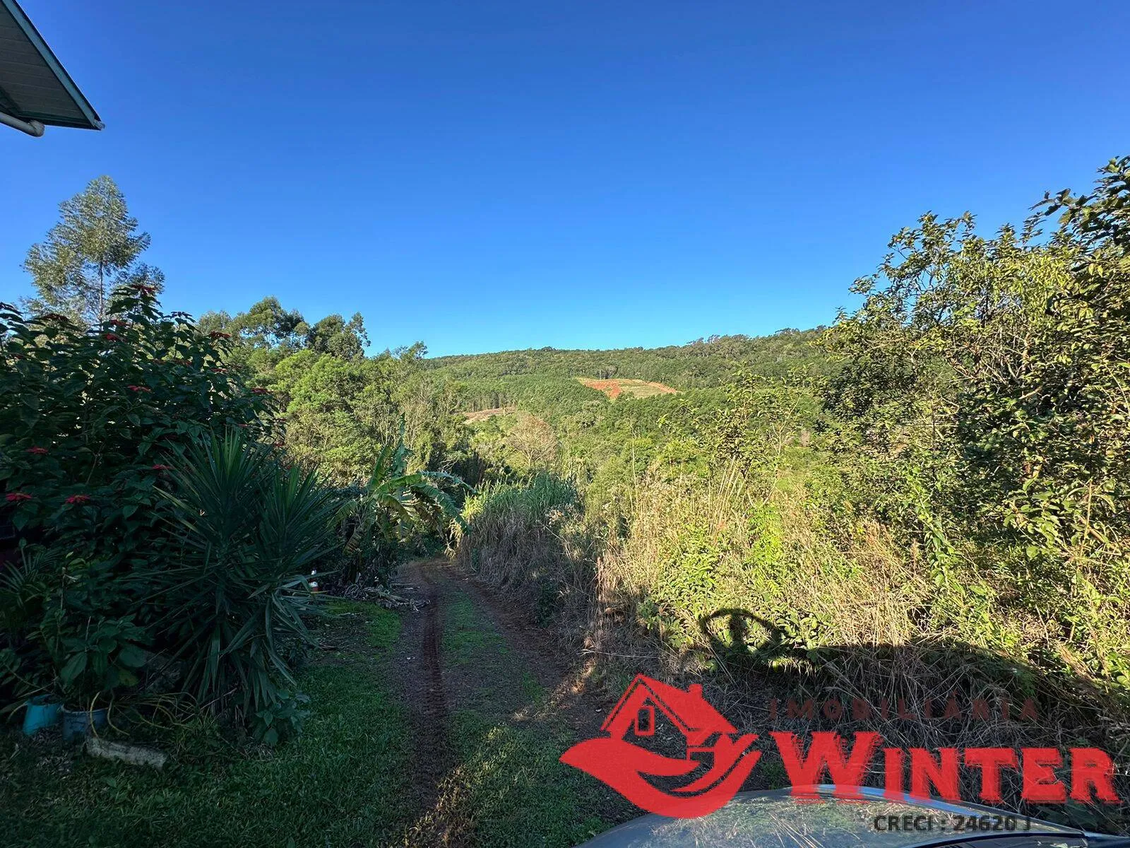 Imagem 10 hectares com Casa na Linha Nova!