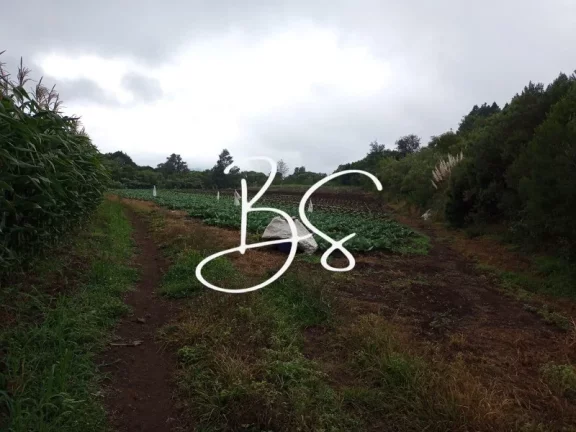 Imagem SITIO RURAL em SANTA MARIA DO HERVAL - RS, Alto Padre Eterno