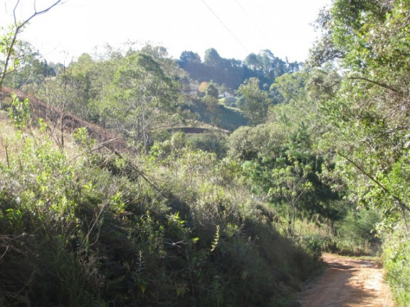 Imagem Terreno à Venda, 1.380 m² em Descansopolis - Campos do Jordão