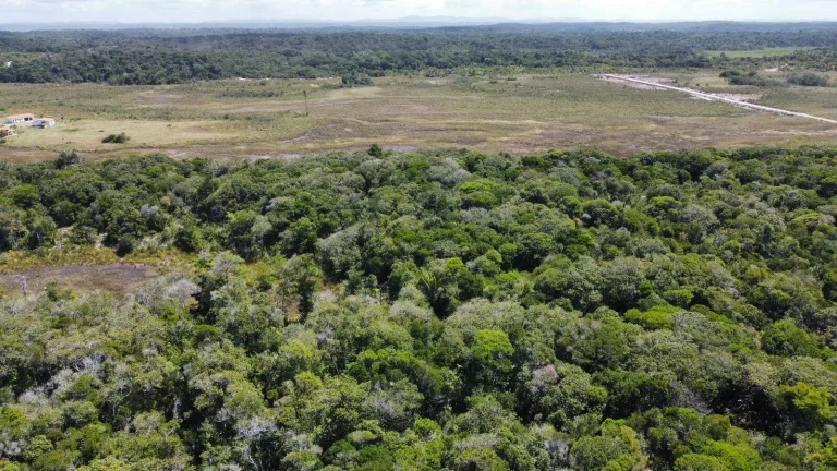 Imagem MÓDULOS RURAIS MATA ATLÂNTICA