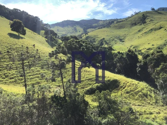 Imagem Sítio à venda, 19 Hectares por R$ 600.000 - Wenceslau Braz - Wenceslau Braz/MG