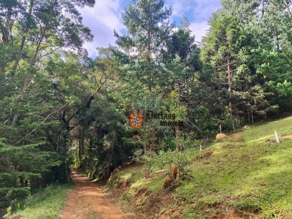 Imagem Sítio à venda, 60500 m² por R$ 905.000 - Bom Jardim - Camanducaia/MG