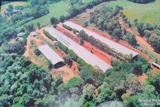 Granja para Venda em Seara, Interior em Linha Caraiba