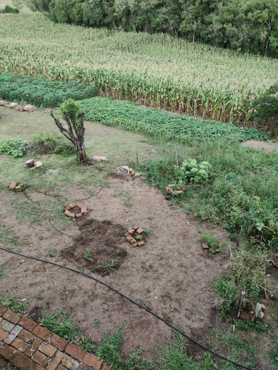 Imagem Pousada para Venda - 0m², 0 dormitórios, Centro