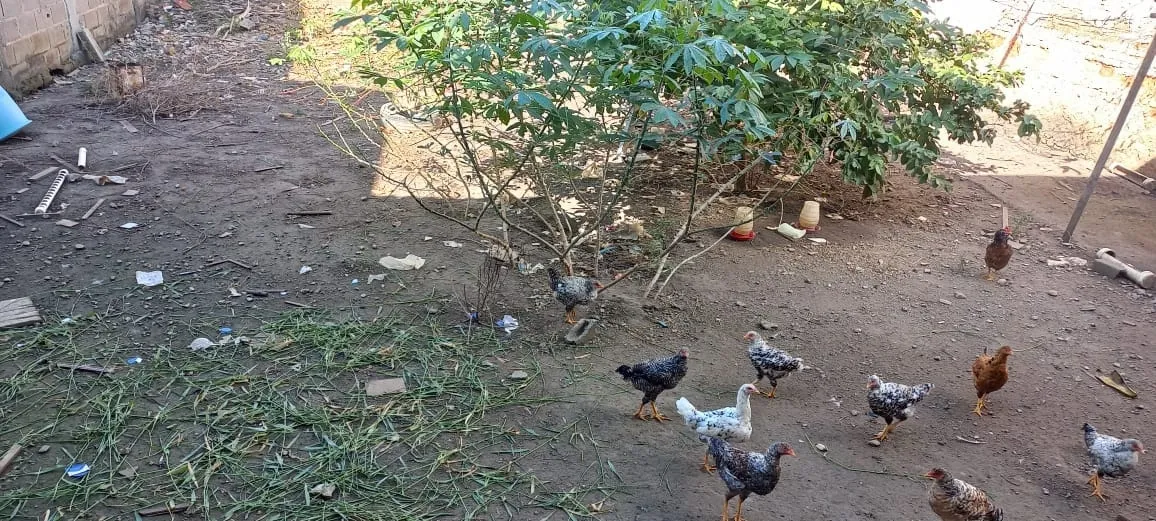Imagem Casa à venda 5 Quartos, 2 Suites, 2 Vagas, 429M², Jardim Rosely, Pindamonhangaba - SP