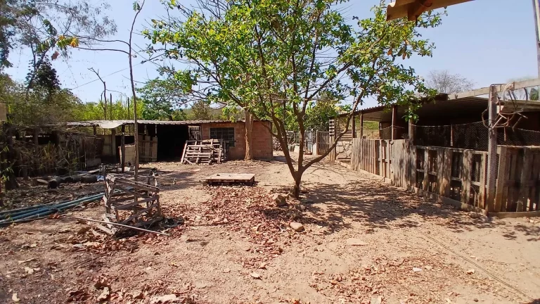 Imagem Chácara à venda em Goianésia/GO