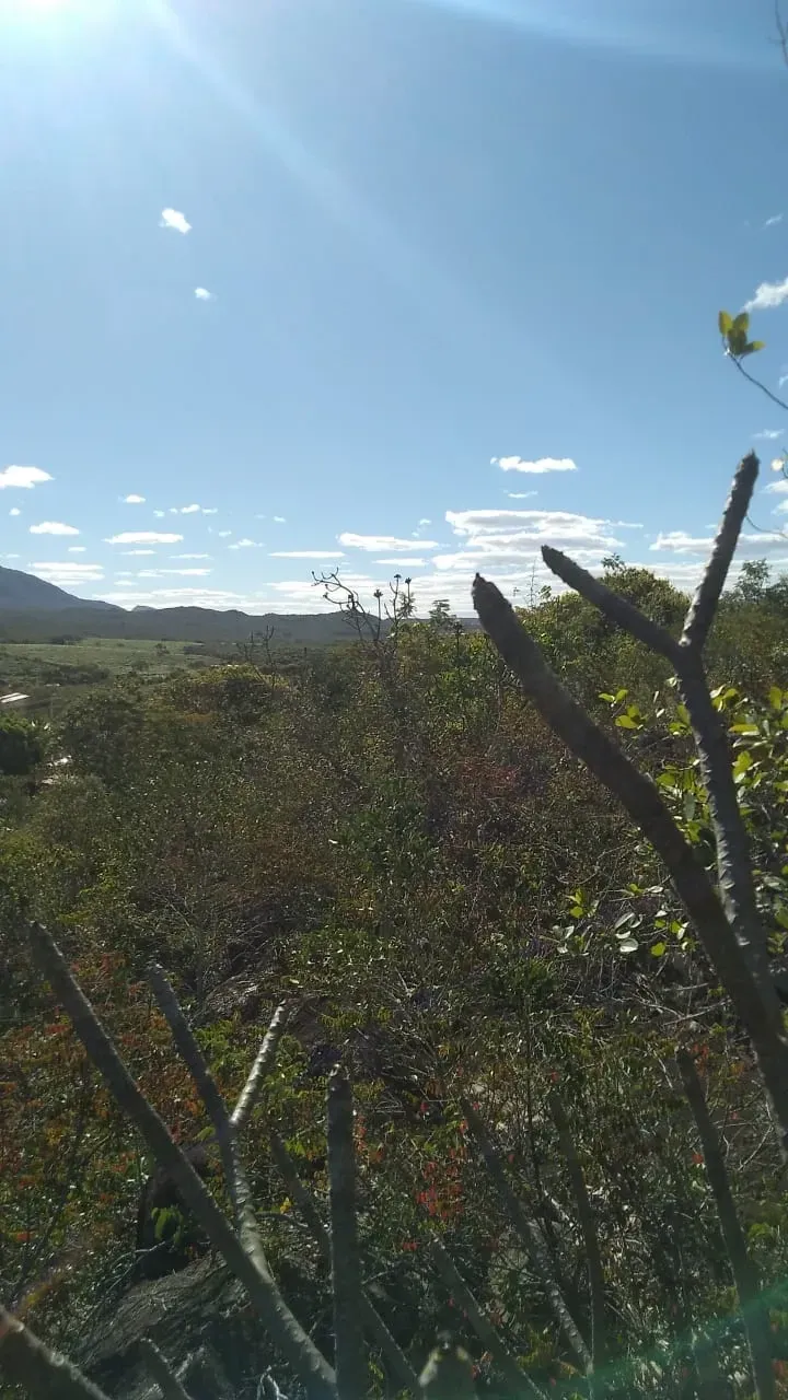 Imagem Terreno à Venda, 9.500 m² em Rio de Contas - Rio de Contas