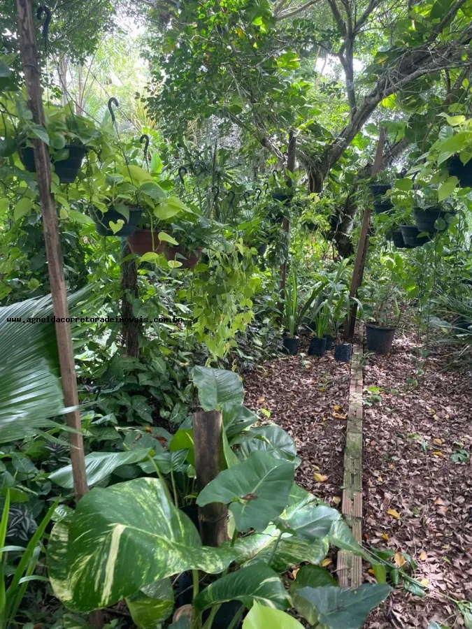 Imagem Granja para Venda em Macaíba, Zona de Expansão Urbana Sul, 2 dormitórios, 1 suíte, 2 banheiros, 5 vagas