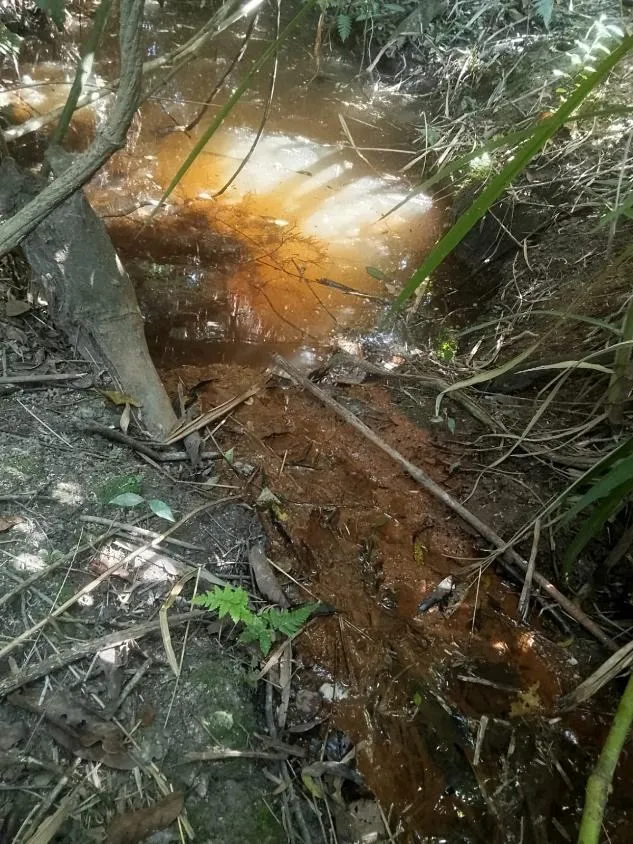 Imagem TERRENO À VENDA EM RIO MANSO/MG | 11,7 HECTARES