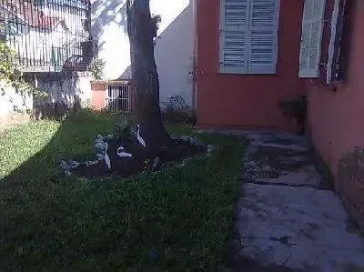Imagem Casa de 03 dormitórios com suite à venda no bairro Medianeira, Porto Alegre