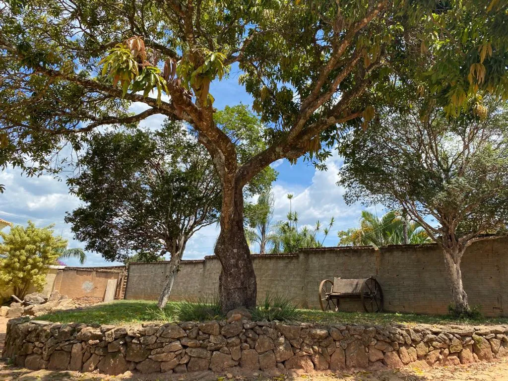 Imagem FAZENDINHA PORTEIRA FECHADA À VENDA - CARMO DO CAJURU (MG) 37 hectares de área total