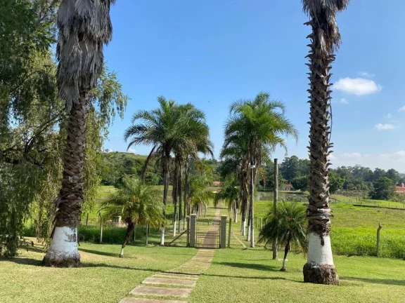 Imagem Sítio formado com 4 alqueires