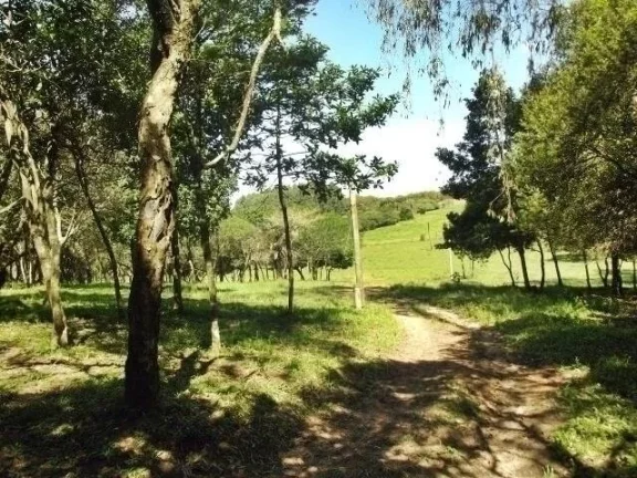 Imagem Excelente área de 11.7 Ha, linda vista, açudes, zona nobre de Águas Claras