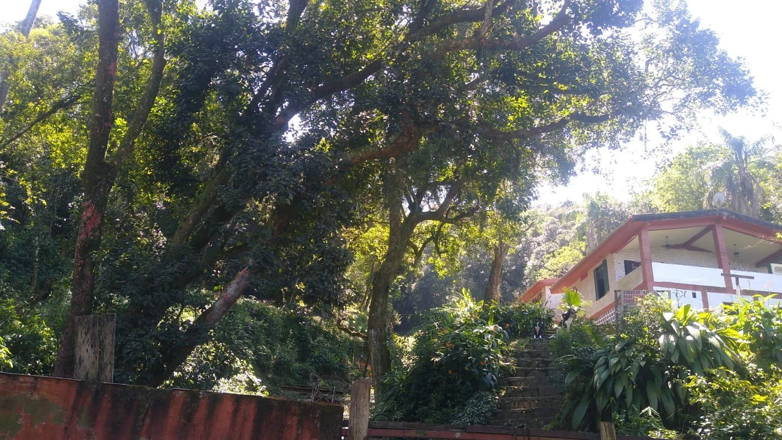 Imagem Sítio para Venda - 240m², 3 dormitórios, sendo 2 suites, 6 vagas - Ponta Grossa