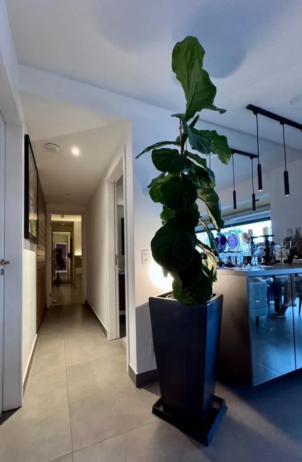Imagem Apartamento para Locação em São Paulo / SP no bairro Perdizes