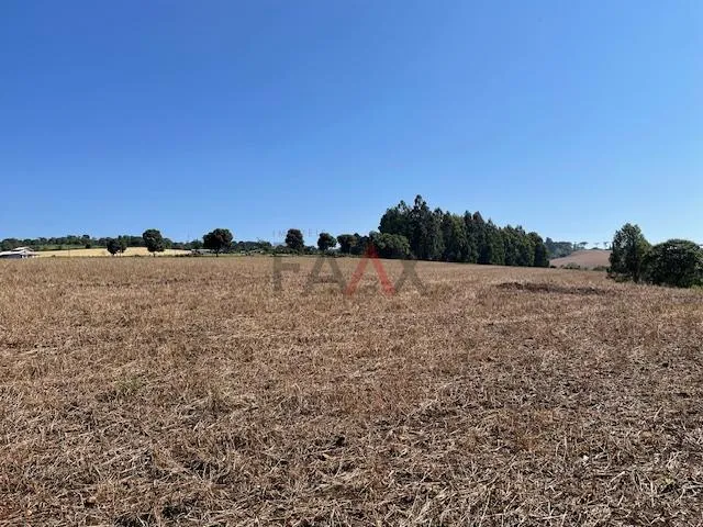 Imagem Chácara com 2,763 alqueires à venda na PALMEIRINHA em GUARAPUAVA - PR