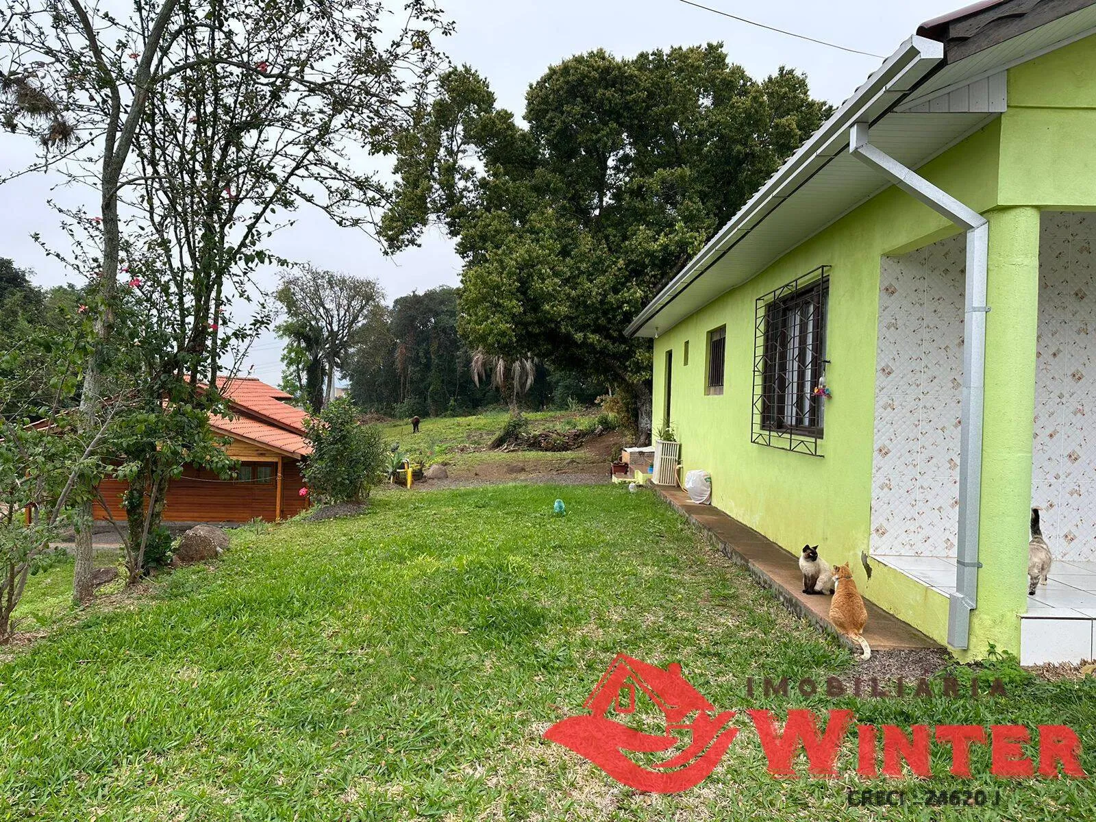 Imagem Casa com 3 dormitórios no bairro Picão, Feliz.
