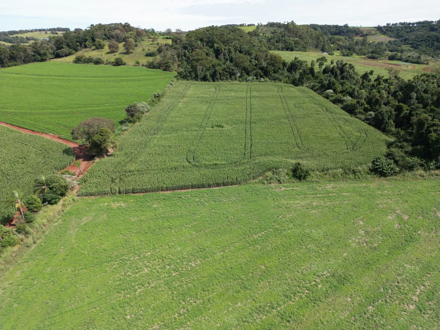 Imagem Chacara a venda em Rio do Salto Cascavel