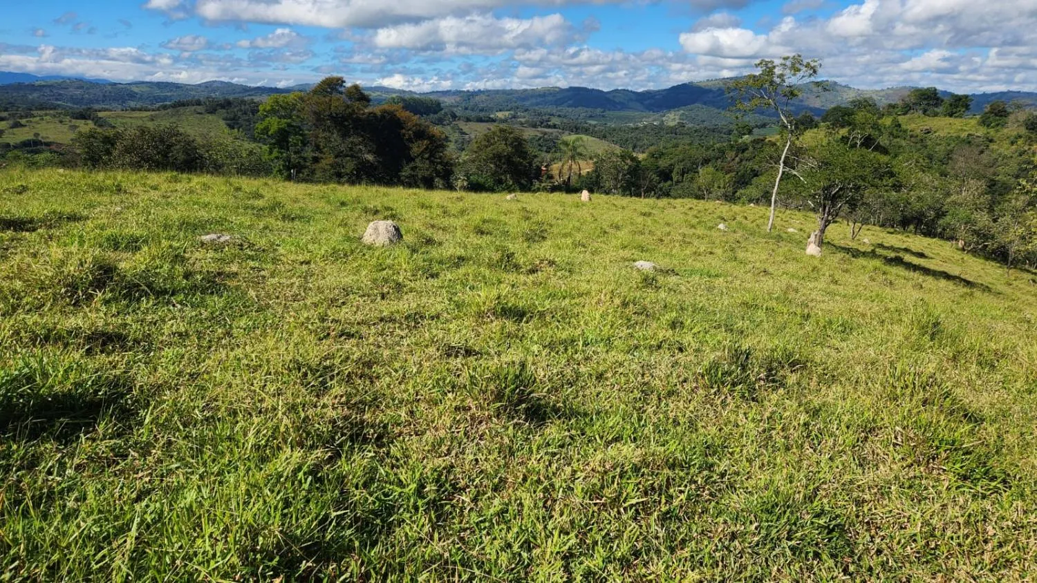 Imagem Vende-se excelente terreno em Bonfim/MG com Área total de 23 hectares, toda formada
